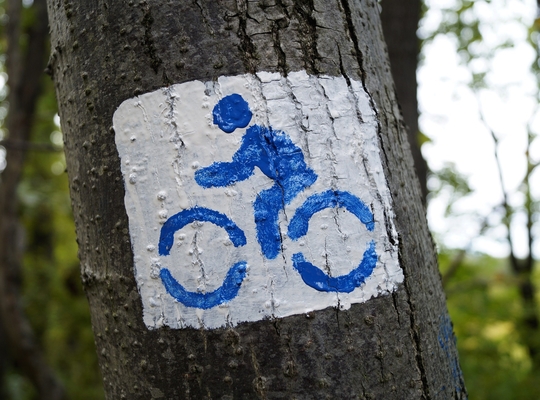 Fietspad Speelhoflaan Fietspad Speelhoflaan